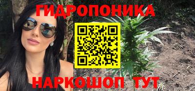стаф Пушкино