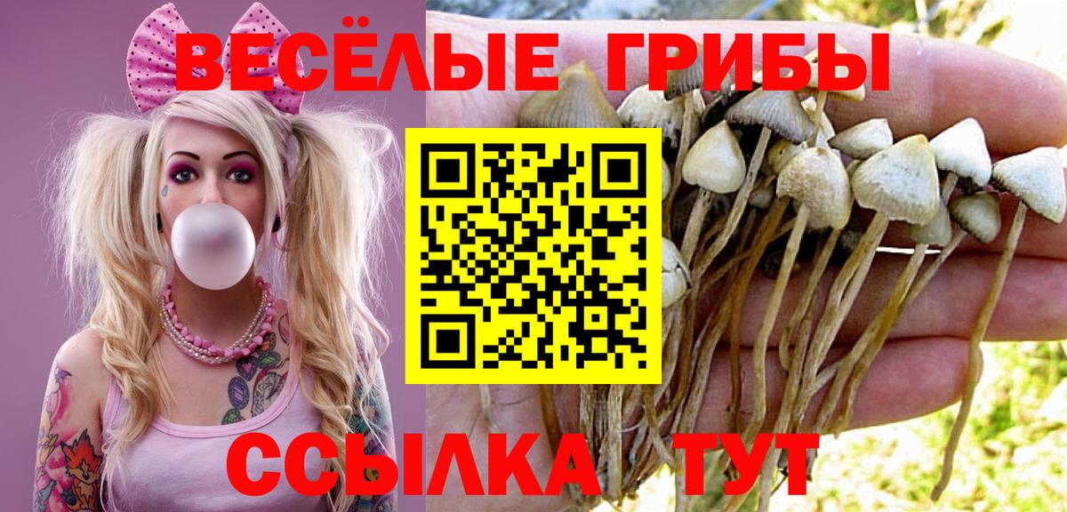 Галлюциногенные грибы Psilocybe  Вход с VPN  Пыть-Ях 